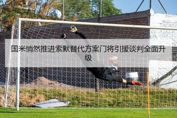 国米悄然推进索默替代方案门将引援谈判全面升级